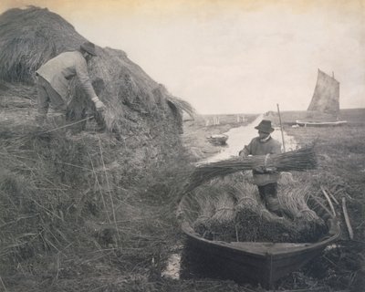 Ricking the Reed, Leben und Landschaft auf den Norfolk Broads, ca. 1886 von Peter Emerson und Thomas Goodall